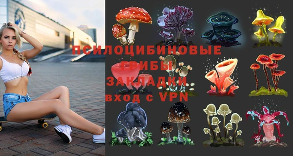 тгк Михайловка