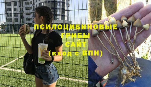 тгк Михайловка
