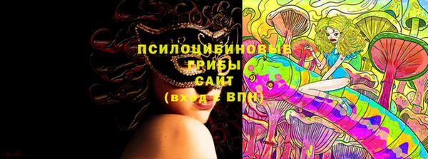 МДПВ Михайловск