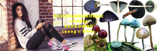 тгк Михайловка